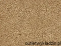 3443.webp