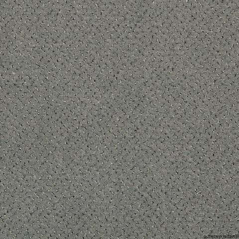 fortesse SDE NEW_6799_090.jpg